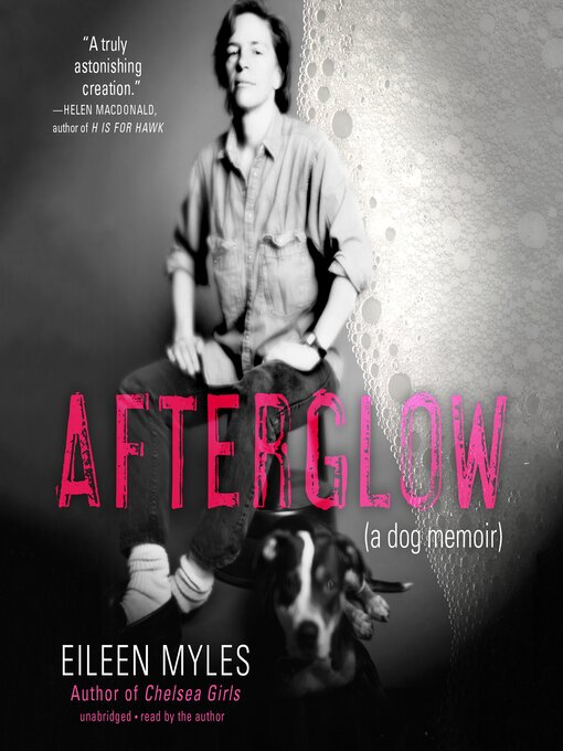 Title details for Afterglow by Eileen Myles - Wait list